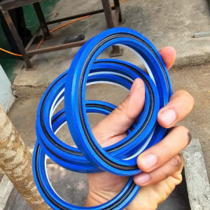 Seal Phớt Xi Lanh Chịu nhiệt – Chịu áp suất cao - DIGIHU